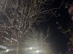 Makoto Shinkai-style cinematic sky background illustration